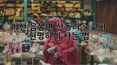아산 음봉면 산동리 중고차 🚗 현명하게 사는 법
