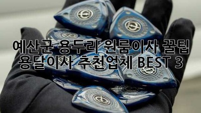 예산군 용두리 원룸이사 꿀팁🍯 용달이사 추천업체 BEST 3!