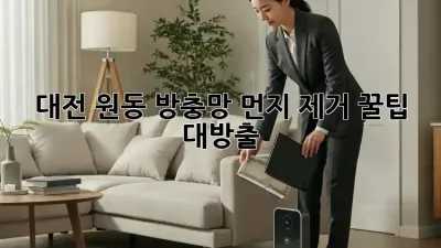 대전 원동 방충망 먼지 제거 꿀팁 대방출! ✨